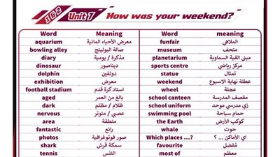 مراجعات نهائيه.. الخلطة السحرية في الانجليزي لـ الصف الأول الإعدادي