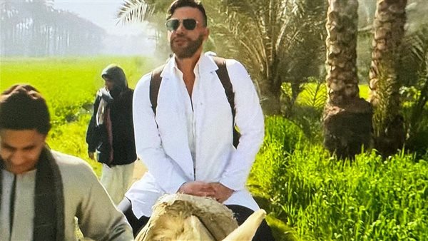 أحداث مسلسل كوبرا