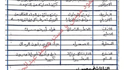 مراجعات نهائيه.. الوحدة الرابعة في 13 ورقة العلوم مش هتقدر تفوتها لـ الصف السادس الإبتدائي