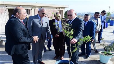 أخبار الجامعات | جامعة سوهاج تنجح في تطبيق مبادرة زراعة الأسطح