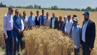 أخبار الجامعات | رئيس جامعة بنها يطلق إشارة البدء في حصاد القمح ويزور وحدة الإنتاج في كلية الزراعة