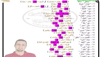 مراجعات نهائيه.. 250 سؤالا وإجابتهم في 11 ورقة لغة عربية لـ الصف الثالث الإعدادي