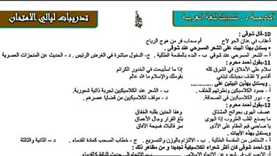 الثانوية العامة.. 500 سؤال فى الأدب الامتحان في جيبك