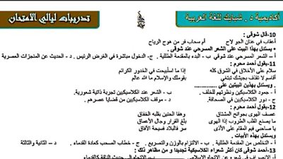 الثانوية العامة.. 700 سؤال فى اللغة العربية مش هتقدر تفوتهم 