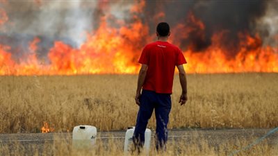 تحذيرات من ظاهرة لانينا في مصر عام 2024.. وبداية الجفاف واحتمالية انتشار فيروسات 