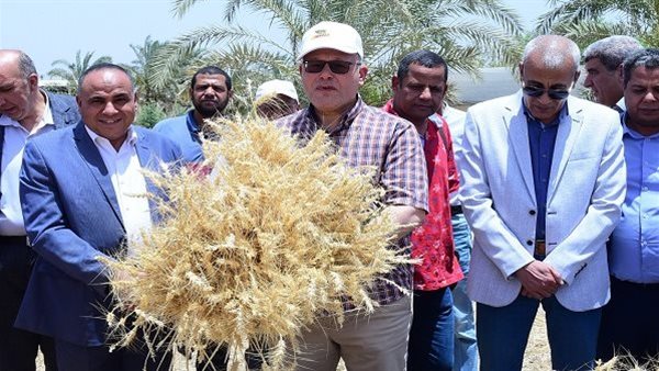 أخبار الجامعات | رئيس جامعة سوهاج يشهد أفضل موسم حصاد لتقاوي القمح لخدمة مزارعي المحافظة 