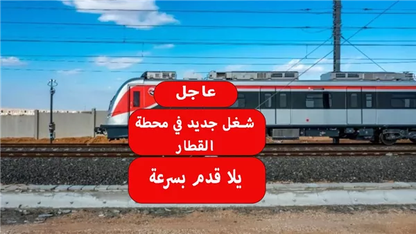 وظائف القطار الكهربائي