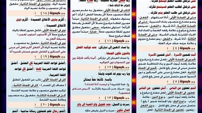 الثانوية العامة 2024.. 72 كبسولة في النحو 4 ورقات اوعى تفوتها.. مراجعات نهائيه