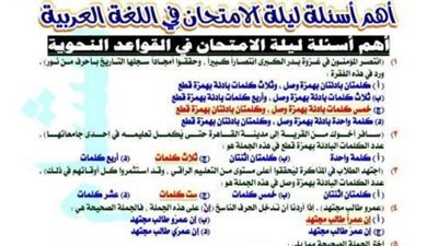 الثانوية العامة 2024.. 650 سؤالا وإجابتها في اللغة العربية لن يخرج عنها الامتحان.. مراجعات نهائيه