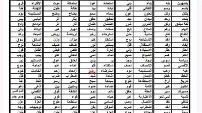 الثانوية العامة 2024.. أبرز كلمات الكشف عن المعجم في 3 ورقات.. مراجعات نهائيه