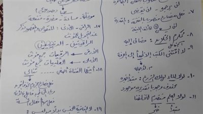 الثانوية العامة 2024.. 12 ورقة تعرفك خبايا امتحان اللغة العربية.. مراجعات نهائيه