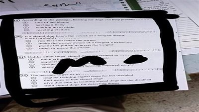 مصور امتحانات الثانوية العامة 2024 في مادة اللغة الإنجليزية.. مطلعش طالب