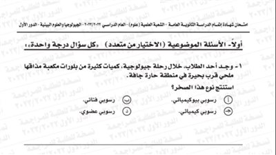 الثانوية العامة 2024.. أبرز أفكار الجيولوجيا مش هيخرج عنها الامتحان.. مراجعات نهائيه