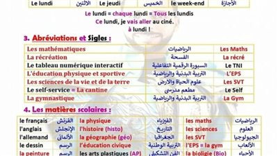 الثانوية العامة 2024.. ملخص منهج اللغة الفرنسية في 8 ورقات.. مراجعات نهائيه