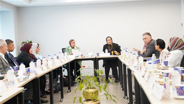 مجلس جامعة عين شمس