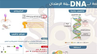 الثانوية العامة 2024.. مراجعة ليلة امتحان الأحياء.. مراجعات نهائيه
