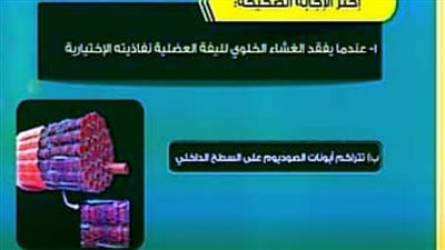 الثانوية العامة 2024.. بنك أسئلة من مدرستنا في الأحياء.. مراجعات نهائيه 