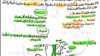 الثانوية العامة 2024.. خلاصة الخلاصة في الأحياء أوعى تفوتها.. مراجعات نهائيه