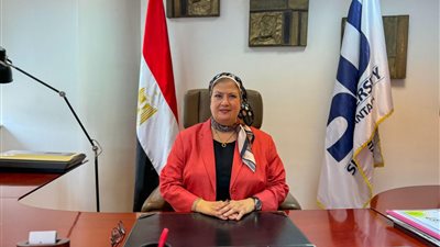 رئيس جامعة سيناء: قدمنا أكثر من 60 الف منحة دراسية باجمالي يصل لـ 858 مليون جنيه 