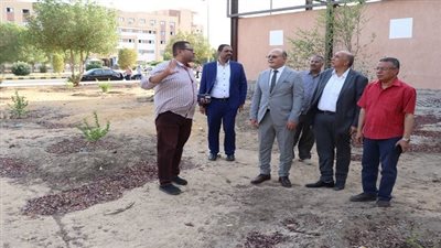 جامعة سوهاج تزرع ثمار المستقبل في مبادرة التشجير الكبرى