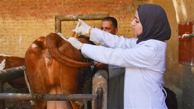 توافد كبير على قافلة جامعة القاهرة بقرية سقيل بالجيزة ضمن مبادرة بداية جديدة لبناء الإنسان