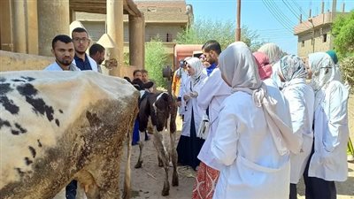 جامعة سوهاج تواصل قوافلها البيطرية المجانية بقرية أولاد عزاز وتعالج 834 حالة