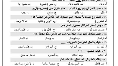 مراجعات نهائية.. تحميل 300 سؤال وإجابتها في النحو الصف الأول الثانوي