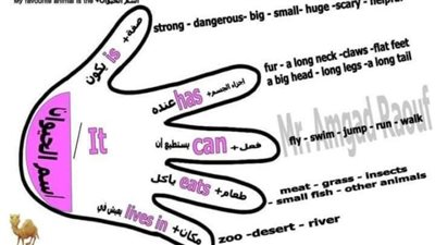 مراجعات نهائية.. ازاي تكتب برجراف connect لـ الصف الرابع الابتدائي 