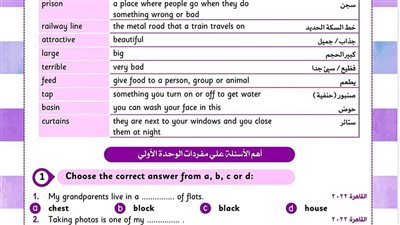 مراجعات نهائية.. 150 سؤالا في اللغة الانجليزية على الوحدتين الأولي والثانية لـ الصف الثاني الإعدادي