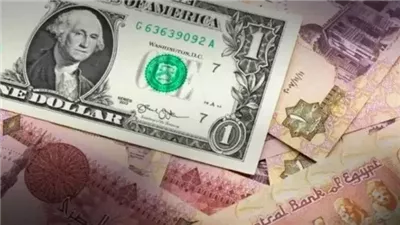 سعر الدولار مقابل الجنيه المصري بمستهل تعاملات اليوم الجمعة 11/ 10/ 2024