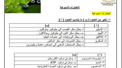 مراجعات نهائية.. أسئلة تقييم الأسبوعين الرابع والخامس الأحياء الصف الثاني الثانوي