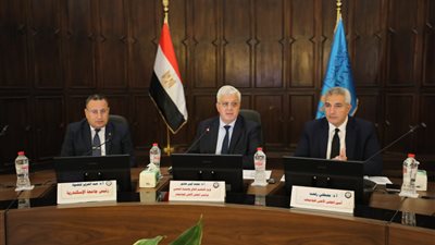  ثغرات فى قرار زيادة رسوم تجديد الإجازات السنوية لـ أساتذة الجامعات المعاريين بالخارج