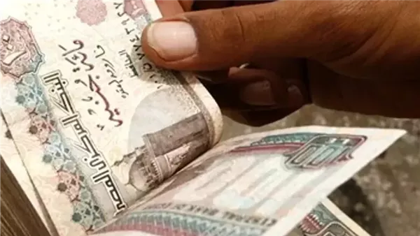 مرتبات شهر نوفمبر