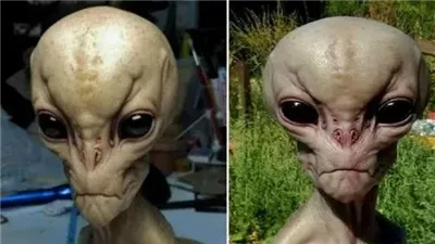  حقيقة وجود كائنات في باطن الأرض.. معهد البحوث يوضح 