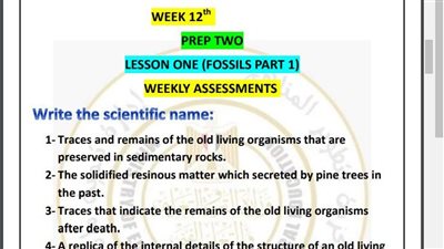 مراجعات نهائية.. أسئلة تقييم الأسبوع الـ 12 العلوم Science لـ الصف الثاني الإعدادي