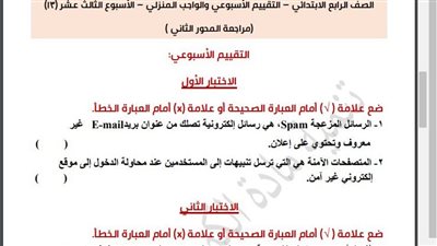مراجعات نهائية.. أسئلة تقييم الاسبوع الـ 13 في الكمبيوتر الصف الرابع الابتدائي