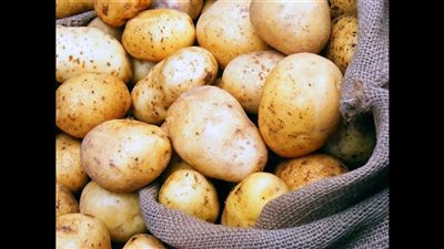 سعر البطاطس اليوم في سوق العبور.. اعرف بكام؟ 