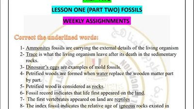 مراجعات نهائية.. أسئلة تقييم الأسبوع الـ 13 العلوم لغات لـ الصف الثاني الإعدادي