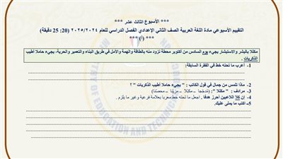 مراجعات نهائية.. أسئلة تقييم الأسبوع الـ 13 لغة عربية لـ الصف الثاني الإعدادي