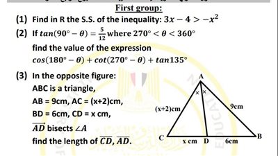 مراجعات نهائية.. أسئلة تقييم الأسبوع الـ 14 الرياضيات Math الصف الأول الثانوي
