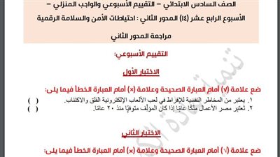مراجعات نهائية.. أسئلة تقييم الاسبوع الـ 14 في الكمبيوتر الصف السادس الابتدائي