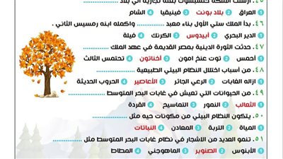 مراجعات نهائية.. 300 سؤال وإجابتها في الدراسات الاجتماعية لـ الصف الأول الإعدادي