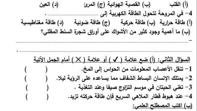 مراجعات نهائية.. 6 نماذج امتحان بالنظام الجديد في العلوم لـ الصف الرابع الابتدائي
