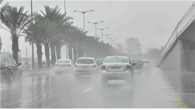 حالة الطقس اليوم السبت 4 يناير 2025.. 