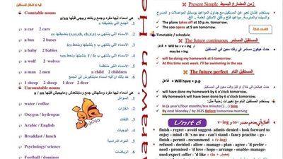 مراجعات نهائية.. مراجعة ليلة امتحان اللغة الانجليزية في 4 ورقات لـ الصف الأول الثانوي