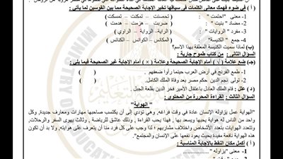 مراجعات نهائية.. نموذج الوزارة في امتحان العربي لـ الصف الثالث الإعدادي