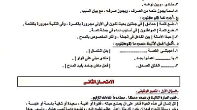 مراجعات نهائية.. 10 نماذج متوقعة في اللغة العربية لن يخرج عنها الامتحان لـ الصف الثالث الإعدادي