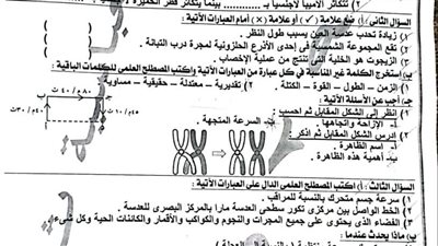 مراجعات نهائية.. امتحان العلوم في 3 محافظات لـ الصف الثالث الإعدادي 2025