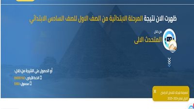 الأن نتيجة المرحلة الابتدائية محافظة الجيزة لجميع الصفوف.. تعرف على نتيجتك بالرقم القومى 