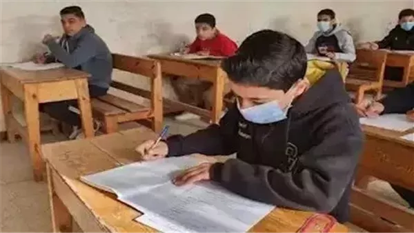 صفوف النقل